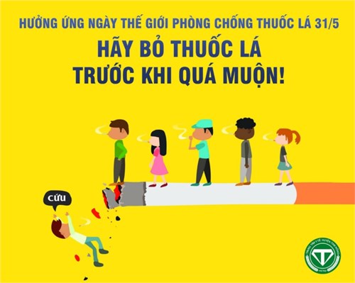 Phòng chống tác hại thuốc lá trong trường học  